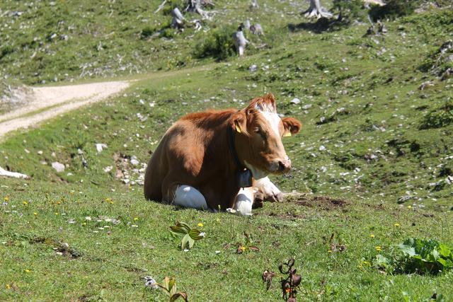 Foto: Eva Dietl-Schuller