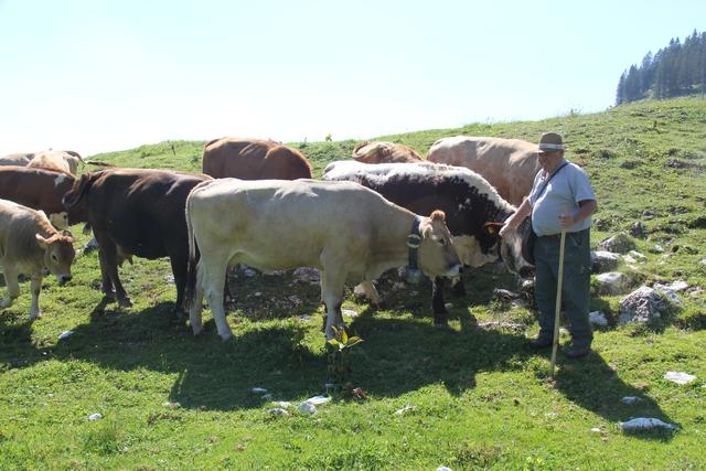 Foto: Eva Dietl-Schuller