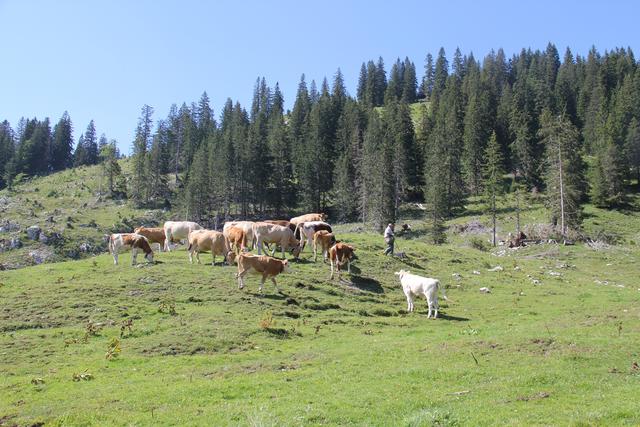 Foto: Eva Dietl-Schuller