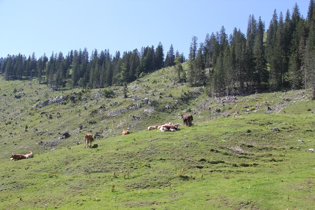 Foto: Eva Dietl-Schuller