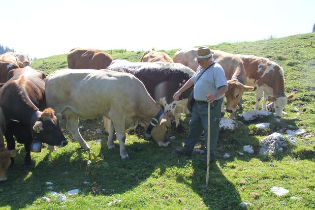 Foto: Eva Dietl-Schuller