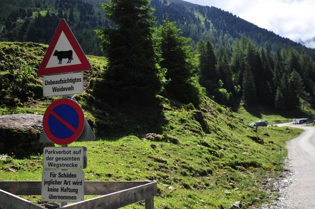 "Parkverbot auf der gesamten Wegstrecke" – dieseSchilder befinden sich beim "Kalch"!