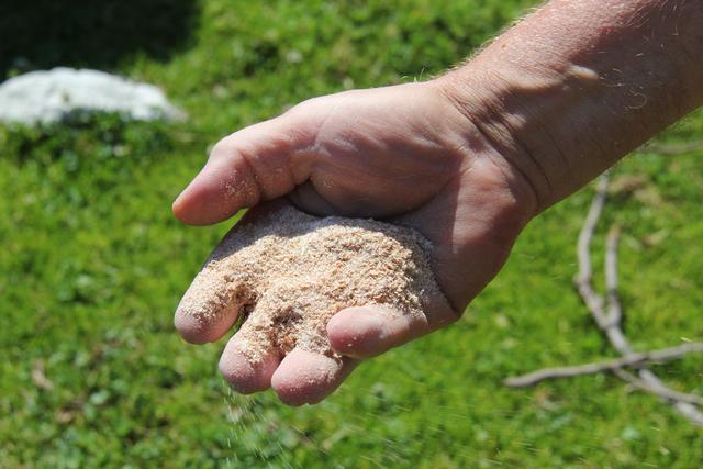 Foto: Eva Dietl-Schuller