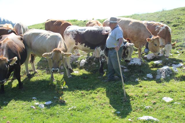 Foto: Eva Dietl-Schuller