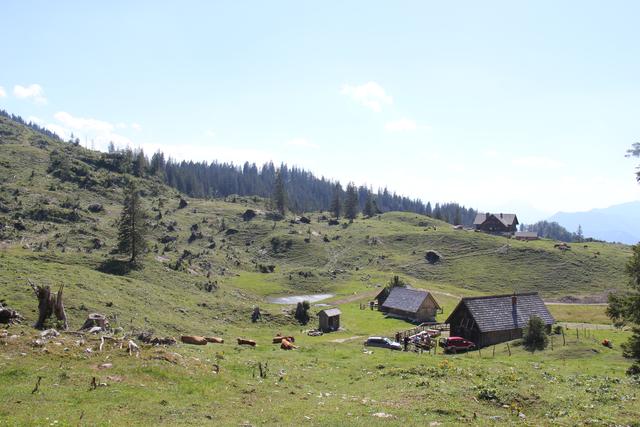 Foto: Eva Dietl-Schuller