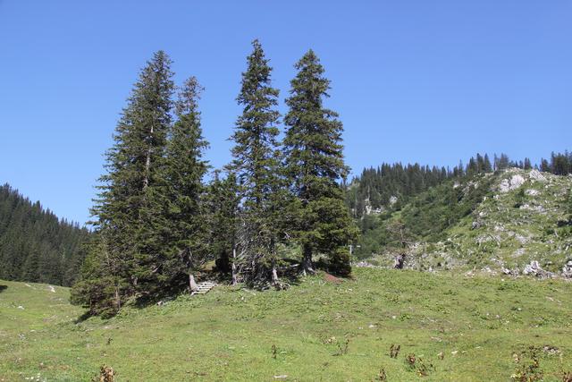 Foto: Eva Dietl-Schuller