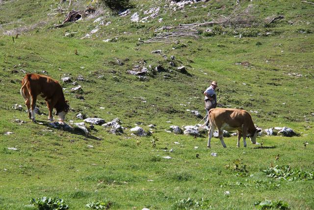 Foto: Eva Dietl-Schuller