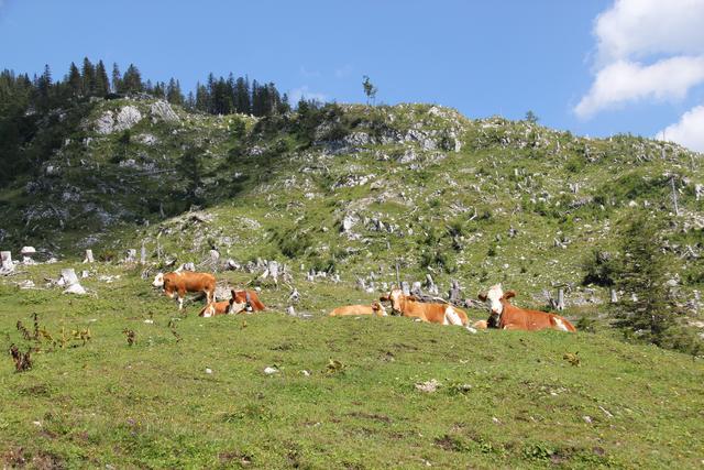 Foto: Eva Dietl-Schuller