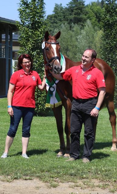 Franz Karl und Maria Gutschy, Warmblutzüchter aus Eibiswald, sind stolz auf ihre Siegerstute "Missis Gutschy", die durch Gangqualität und Rittigkeit schon als Dreijährige zu bestechen vermag.