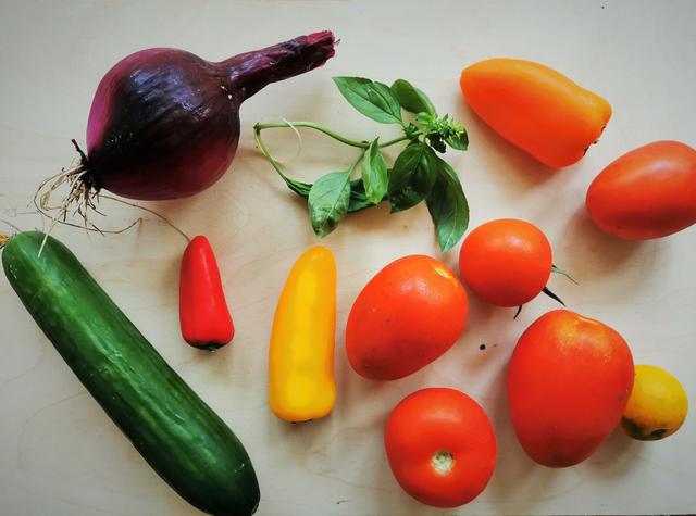 frisches Sommergemüse | Foto: Katrin Ebetshuber