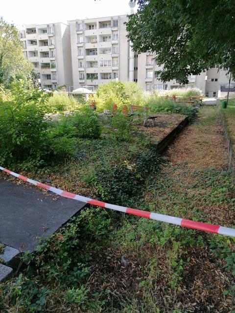 Die Wohnhausanlage wartet auf ihre Sanierung. Der Innenhof ist seit vier Jahren gesperrt und verwildert.