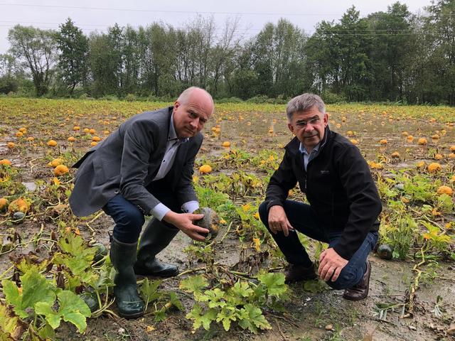 Auch landwirtschaftliche Kulturen, wie Kürbisse, wurden durch Überflutungen zerstört.