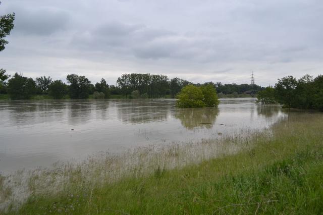 Der starke Niederschlag der letzten Tage führte zu Hochwasser an der Neuen Donau. Die Mitarbeiter der MA 45 (Wiener Gewässer) sind im Einsatz.