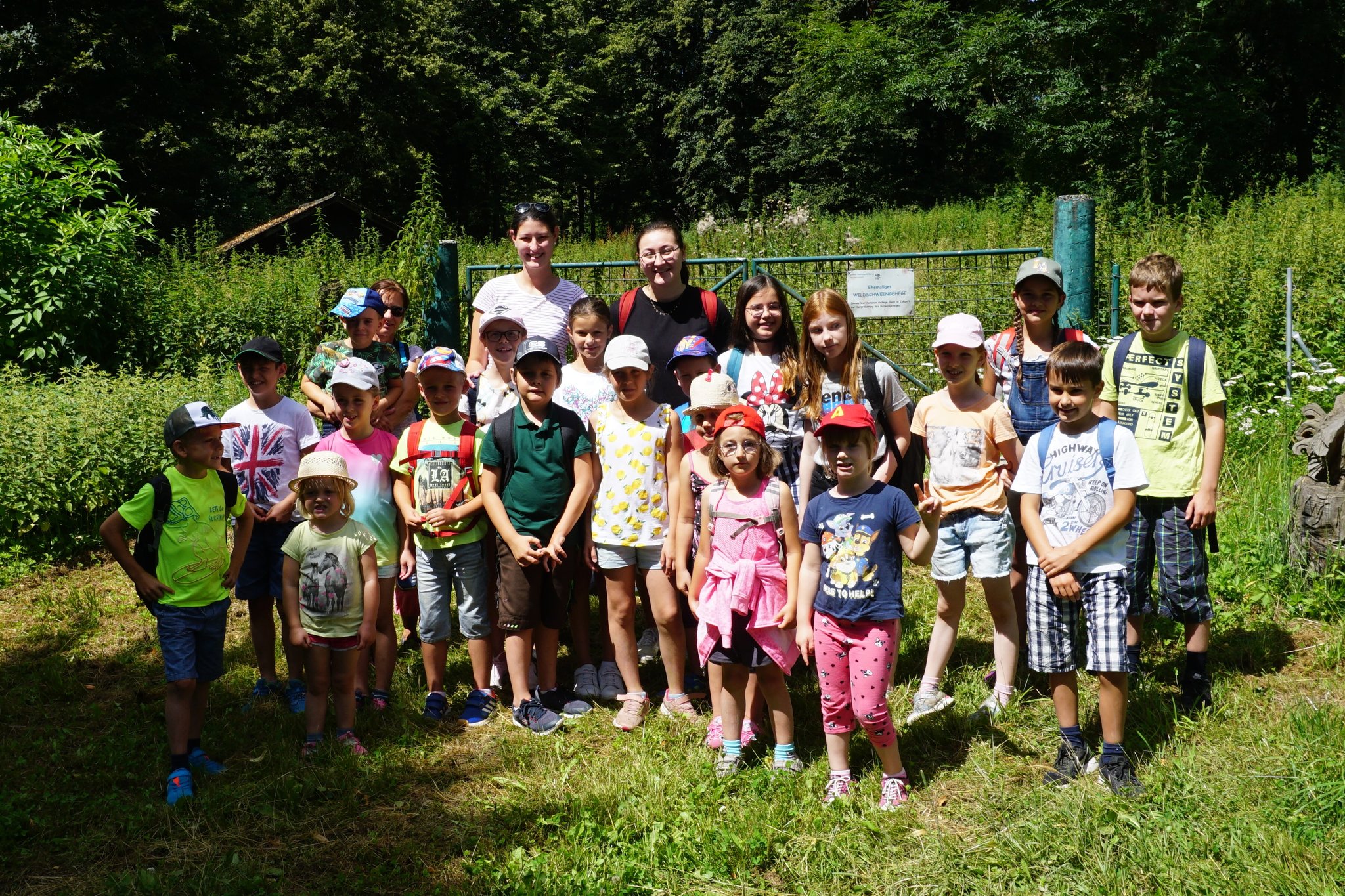 Sommerferien in Langenrohr: Ausflug zum Naturpark Geras - Tulln