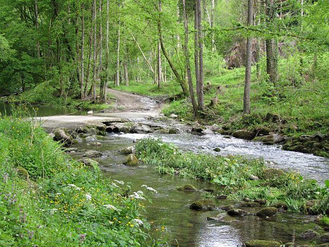 Die Wanderung führt über Wiesen, Pfade, Forststraßen und Brücken. | Foto: singlewandern.at