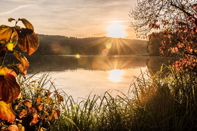 Badeseen wie in Rauchwart werden an den kommenden heißen Tagen sicher häufiger besucht. | Foto: Christian Krammer