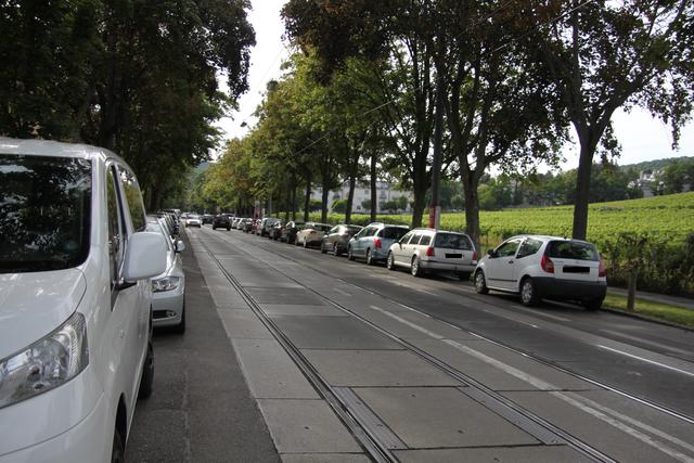 Parkende und fahrende Autos, dazu die Straßenbahn: Das macht die Alszeile zu einer gefährlichen Route für Radfahrer. | Foto: mjp