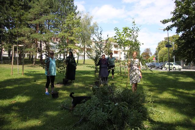 Die enttäuschten Bewohner mit den herausgerissenen Bäumen. | Foto: Michael J. Payer
