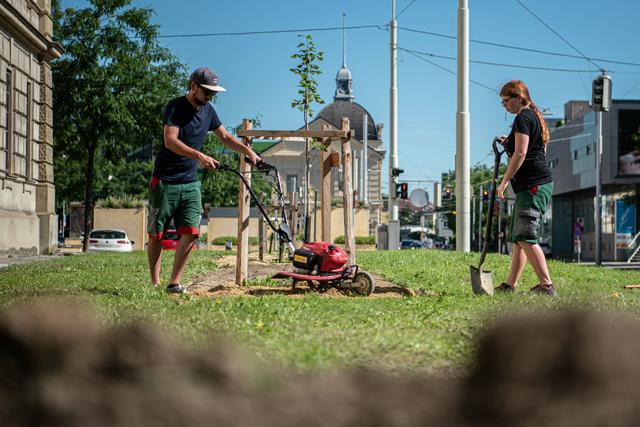 Kürzlich wurde der Boden vor der Hesserkaserne „bienenfreundlich“ gemacht.