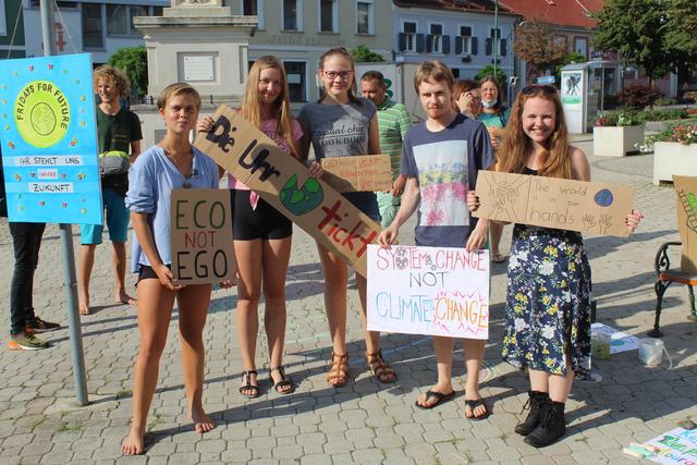 Viele Menschen beteiligten sich mit selbstgestaltenen Plakaten an der Demo.