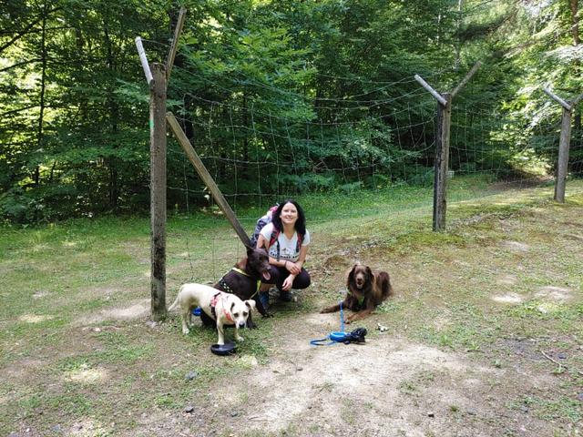 Tierärztin Silke Mlejnek mit ihrer Bande Josy, Duke und Diego.