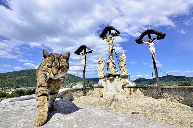 Kalvarienberg Graz & Kater.