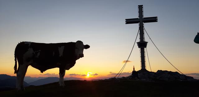 Ein Lieblingsplatzerl zu Sonnenauf- und untergang ist eindeutig der Plankogel, mit seinem Rundumblick vom Almenland bis ins Joglland.
Und wenn sich dann noch so ein strammer Geselle ins rechte Licht rückt, ist das Gipfelglück perfekt. | Foto: Eva Reindl