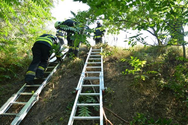 Foto: FF Frauenkirchen