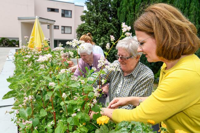 Sozial-Landesrätin Christiane Teschl-Hofmeister zu Besuch im Garten des Pflege- und Betreuungszentrums Mautern wo die Bewohnerinnen und Bewohner die Grünräume gerne genießen.