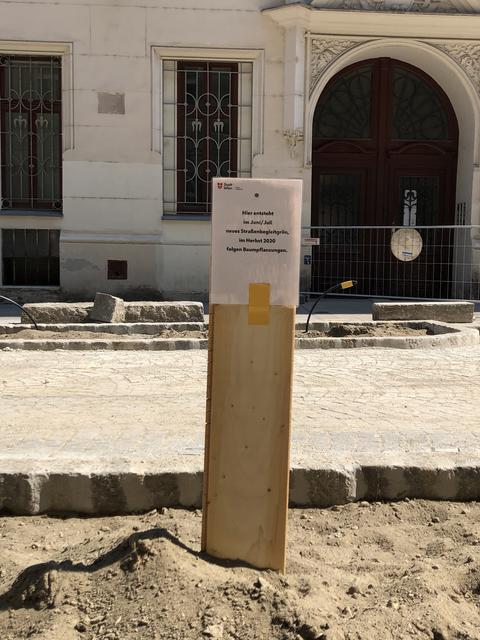 Hier wird einer von insgesamt sechs Bäumen gepflanzt. | Foto: Barbara Schuster