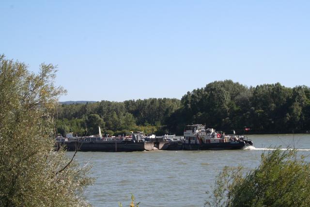 Donauhafen Krems verzeichnet Plus im ersten Geschäftshalbjahr 2020.