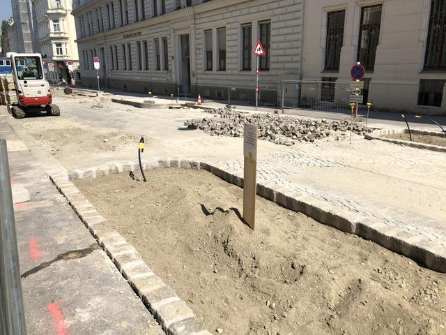 An dieser Stelle entsteht eine Bewässerungsanlage, im September werden dann die Bäume gepflanzt. | Foto: Barbara Schuster