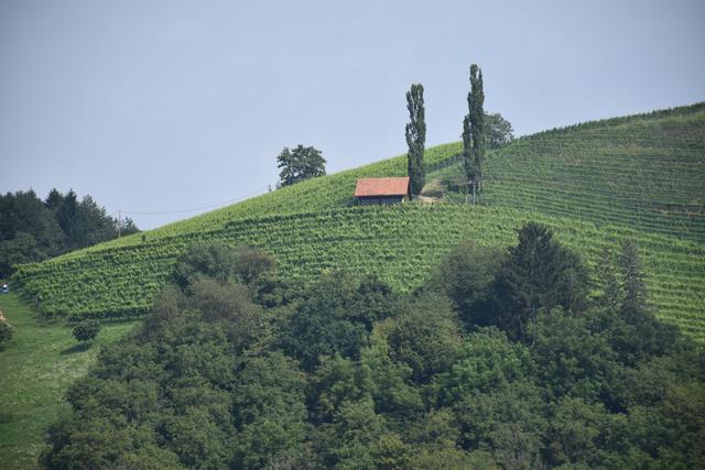 Foto: Waltraud Fischer