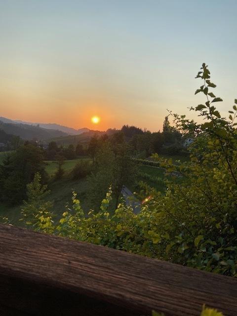 Sonnenuntergang in der Südsteiermark. | Foto: Herbert Waltl
