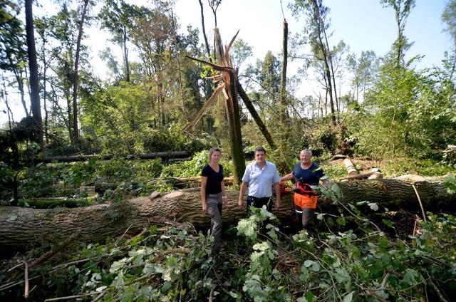 Stadtförsterin Christine Schmidl und Bgm. Franz Jost begutachteten die Schäden mit den betroffenen Waldbesitzern. | Foto: Stdtgde Fürstenfeld