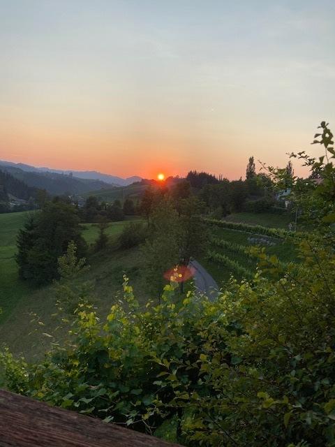 Über die Weinberge ... | Foto: Herbert Waltl