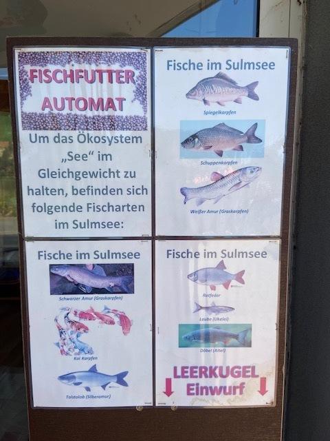 ... mit vielen Fischen.  | Foto: Herbert Waltl