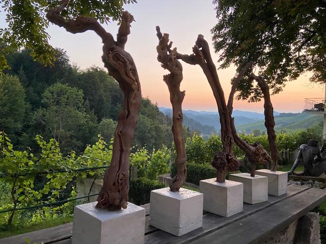 Alte Weinreben als Metapher. | Foto: Herbert Waltl