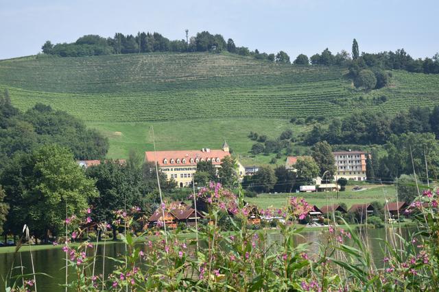 Foto: Waltraud Fischer