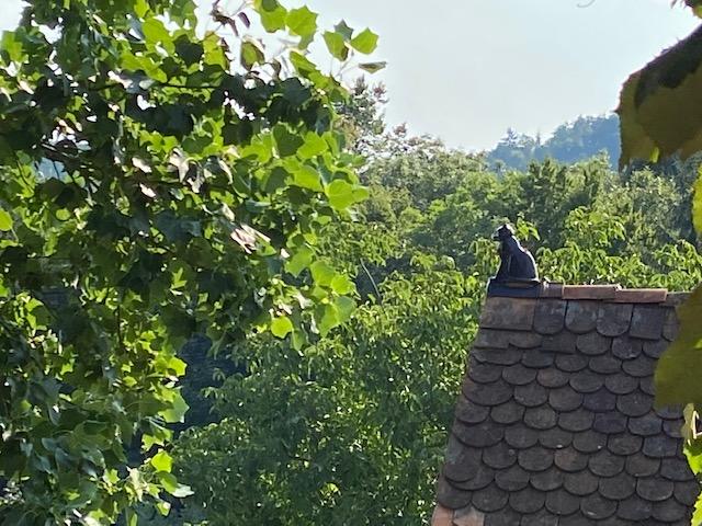 Die Katze am Dach ...  | Foto: Herbert Waltl