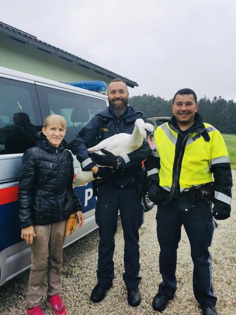 Ulrike Weinberger, Marc Hemetsberger und Robert Diancourt (v.l.).