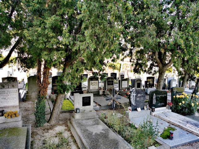 Friedhof