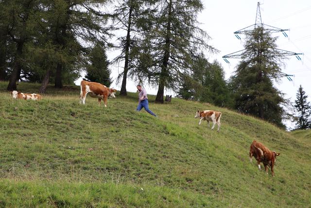 Extreme Berglagen über Nauders werden von der Familie Habicher bewirtschaftet.