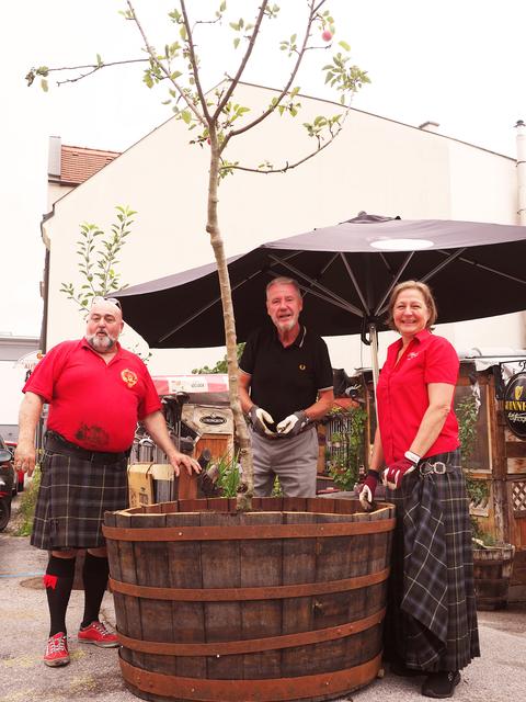 Bürgermeister Klaus Schneeberger pflanzte gemeinsam mit Andreas und Maria Lechner einen Apfelbaum im Gastgarten des "Mary's Coffeepub".
 | Foto: Pürer, Stadt WRN