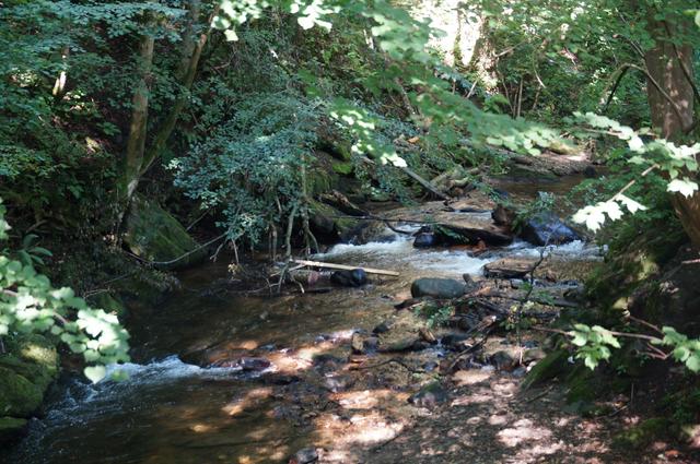Die "Grünen und Bürgerliste Deutschlandsberg" laden zur Reinigungsaktion an der Laßnitz. Treffpunkt ist beim vorderen Eingang zur Deutschlandsberger Klause.  | Foto: Koch