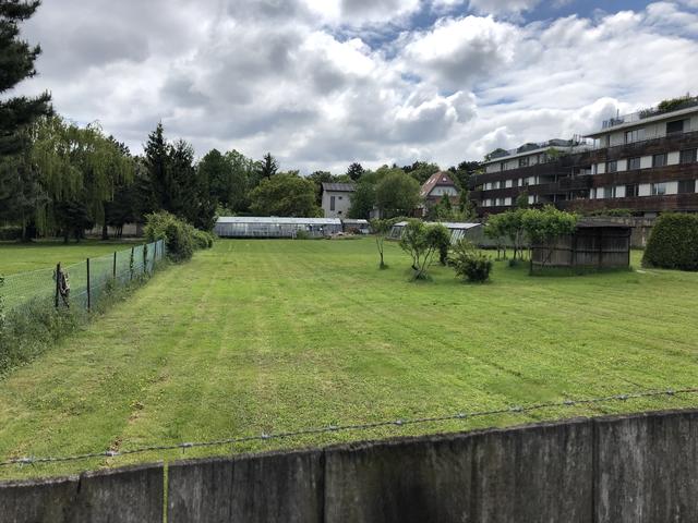 In der Gallitzinstraße soll auf dieser Grünfläche ein Wohnbau entstehen. | Foto: mjp