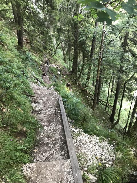 Am Hirschsteig stürzte die 25-Jährige ab. | Foto: Bergrettung Mondseeland