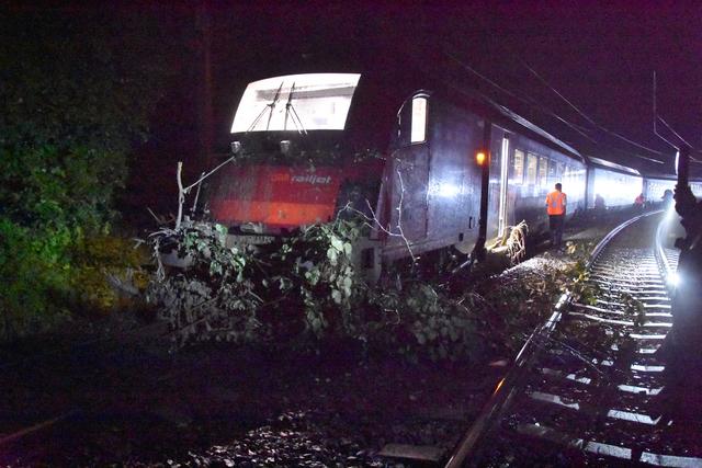 Ein Schnellzug der ÖBB musste evakuiert werden. | Foto: FF/Horn