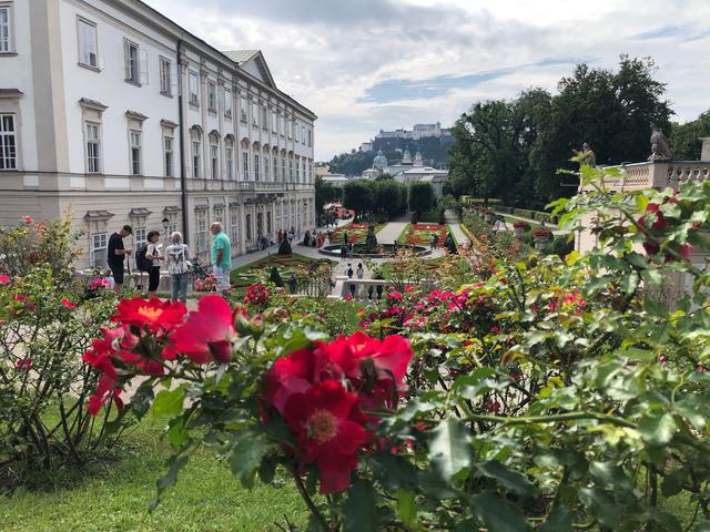 Blumen und Pflanzen sorgen für ein gutes Klima in der Stadt.