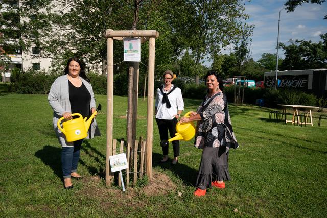 Wiener Wohnen sucht in Kooperation mit wohnpartner BaumpatInnen.
„Denn die Bäumchen brauchen heutzutage eine ganz besondere Aufmerksamkeit und deutlich mehr Wasser als ihre großen Geschwister, die bereits tiefe Wurzeln haben“, so Wohnbaustadträtin Kathrin Gaal, im Bild mit Wiener Wohnen-Direktorin Karin Ramser (Mitte) sowie wohnpartner-Leiterin Claudia Huemer (r.)
 | Foto: PID/Bohmann